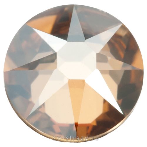 2058 ss 10 Crystal Golden Shadow F